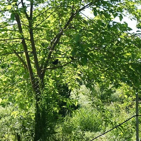 ホリデーパーク Complejo Rural El Prado 3*