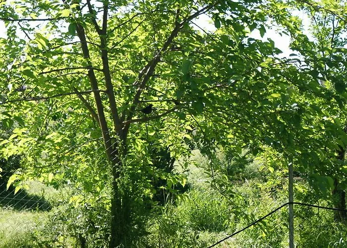 Vakantiepark Complejo Rural El Prado 3*